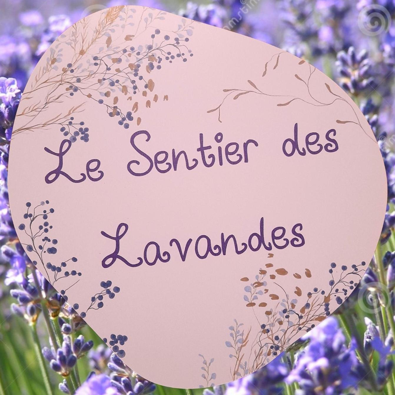 Le Sentier Des Lavandes 瑟穆瓦河畔夫雷斯 外观 照片